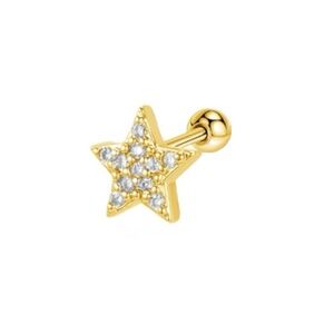 Diamond Star Gold Stud Earrings Stainless Steel